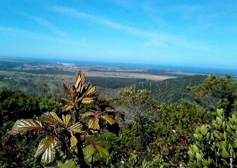 Apartamento Bau-doce *