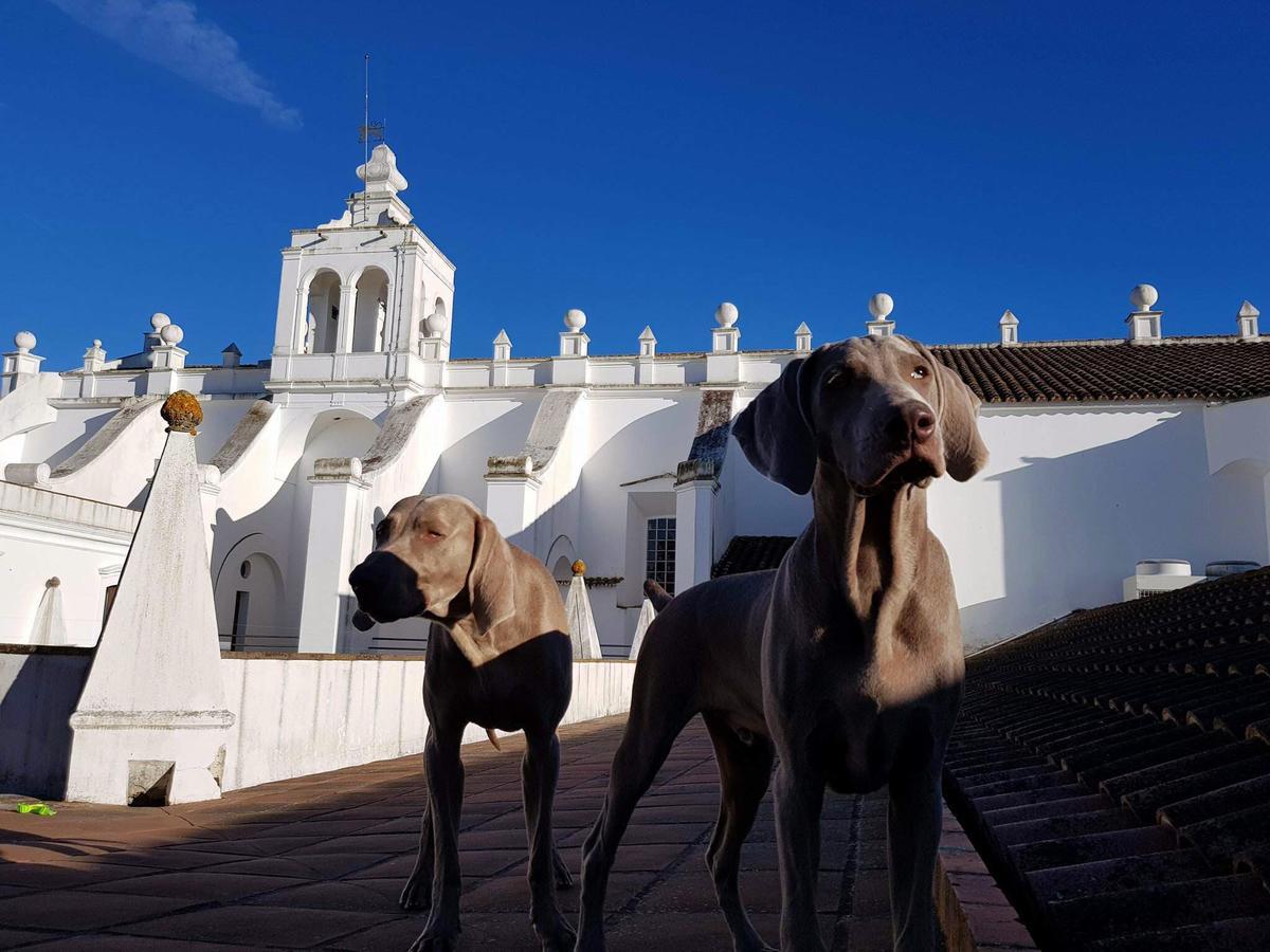 Convento Do Espinheiro, Historic & Hotel Evora