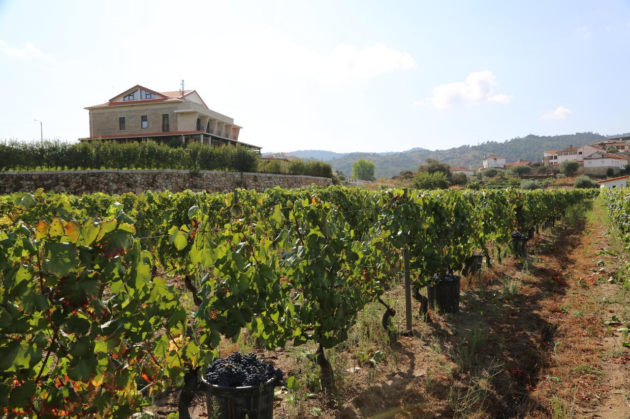 Quinta Do Palame Vila Flor
