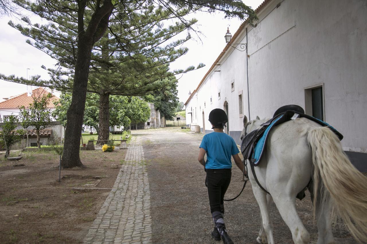 Quinta De Cascavelos-eco Experience Farm stay *
