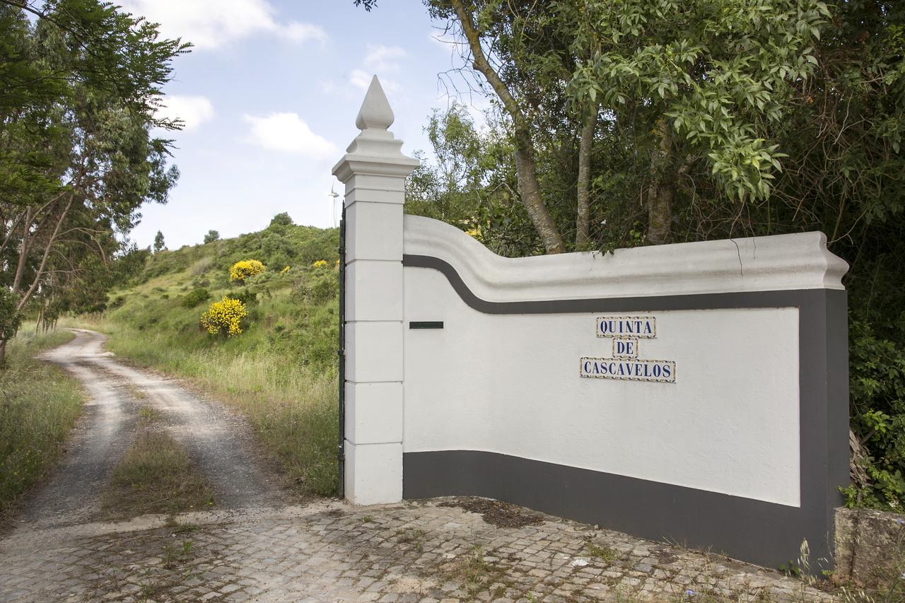 Farm stay Quinta De Cascavelos-eco Experience Torres Vedras