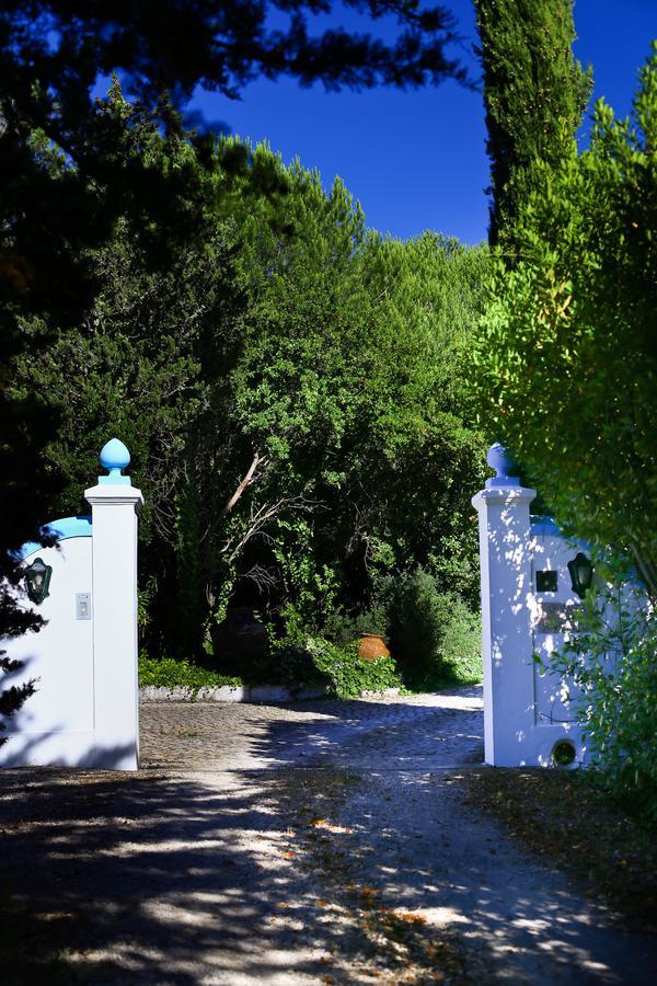 Quinta Da Arrabida *