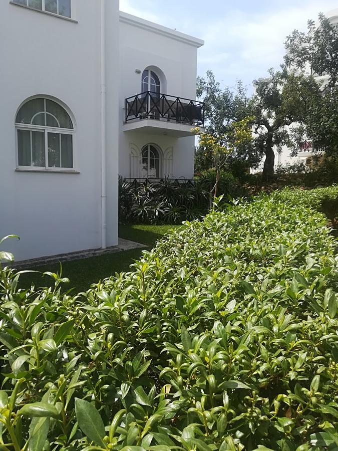 Apartment Garden *