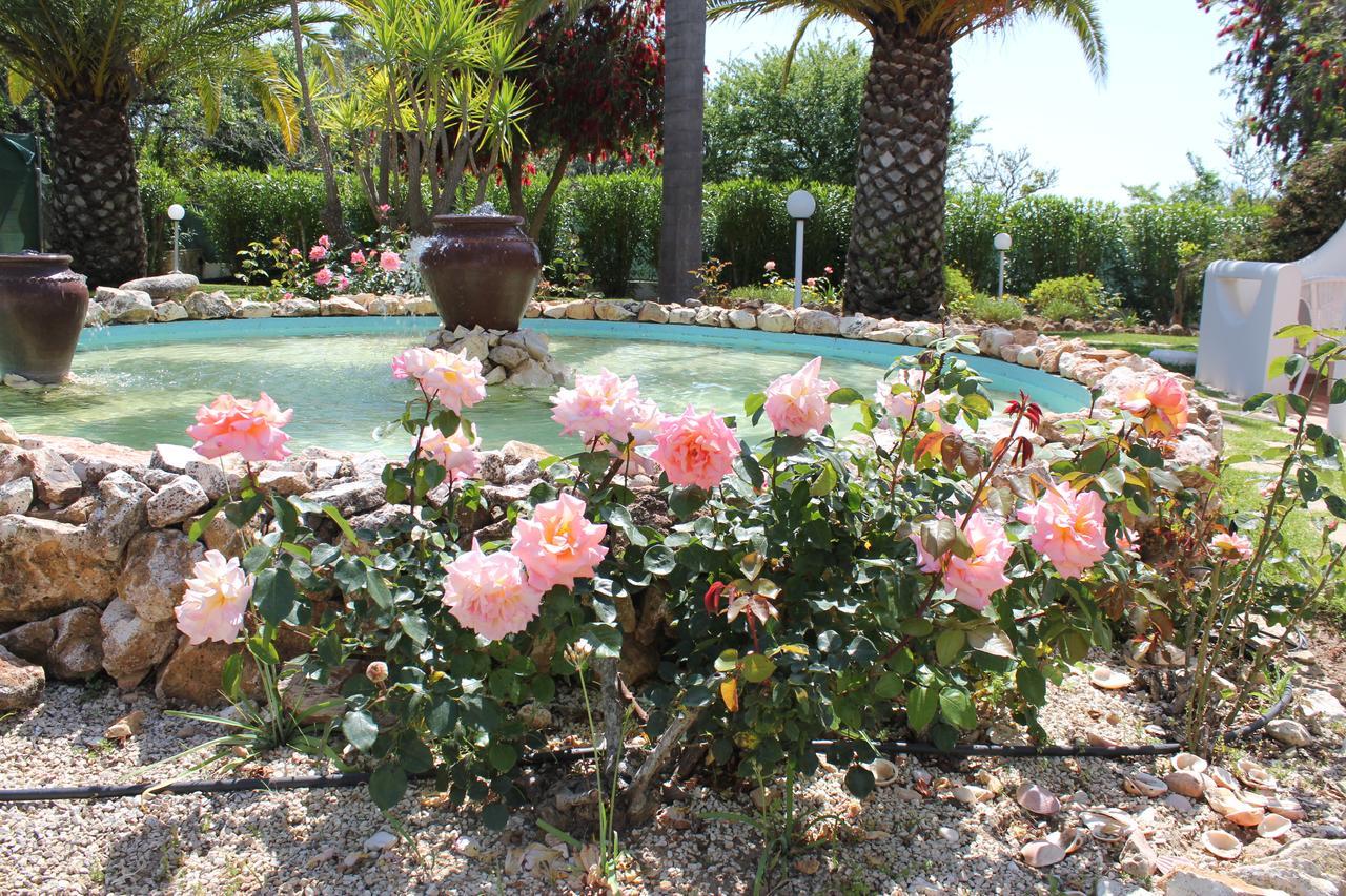 Quinta Dos Oliveiras Bed & Breakfast Carvoeiro (Lagoa)