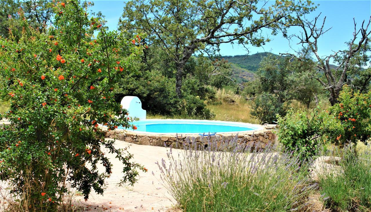 Country house Quinta Do *