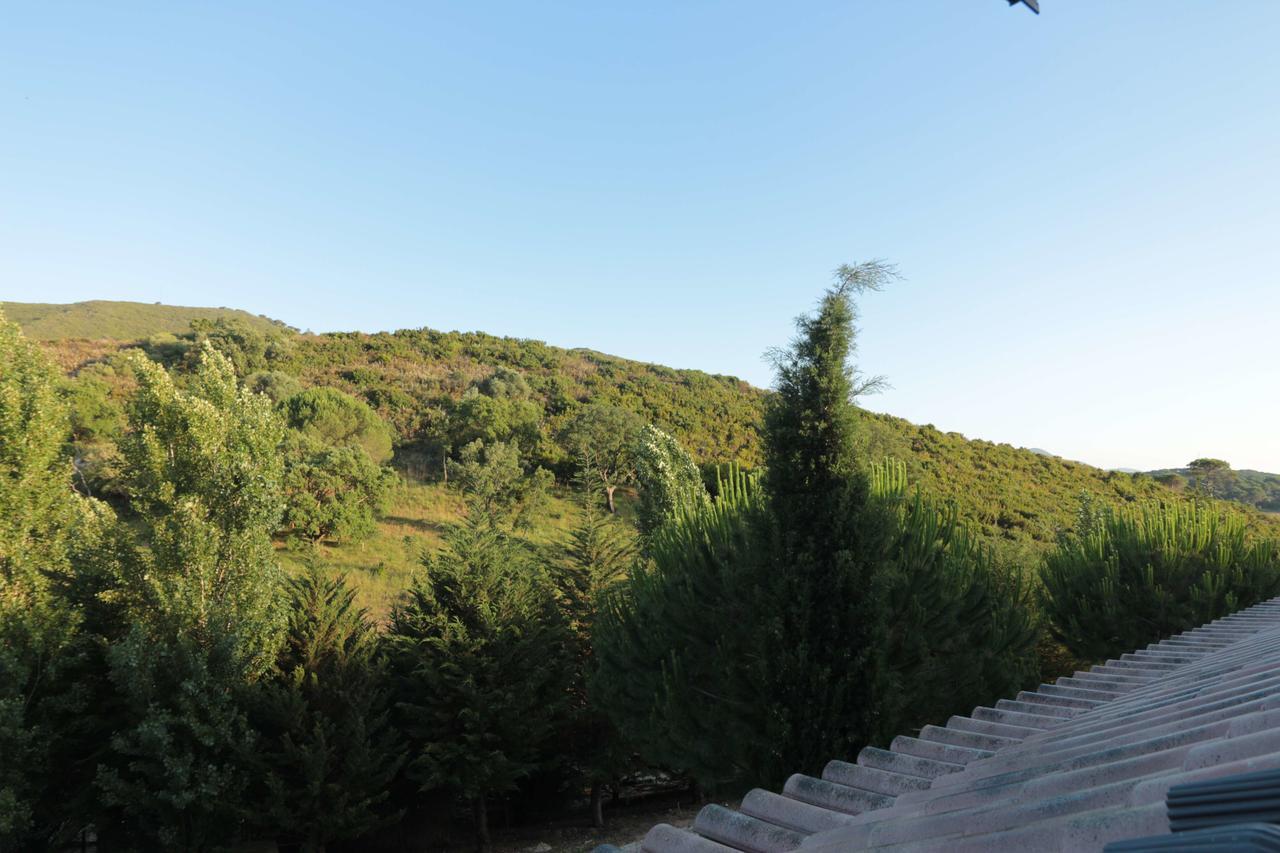 Guest house Halma - Nature & Sea Setubal