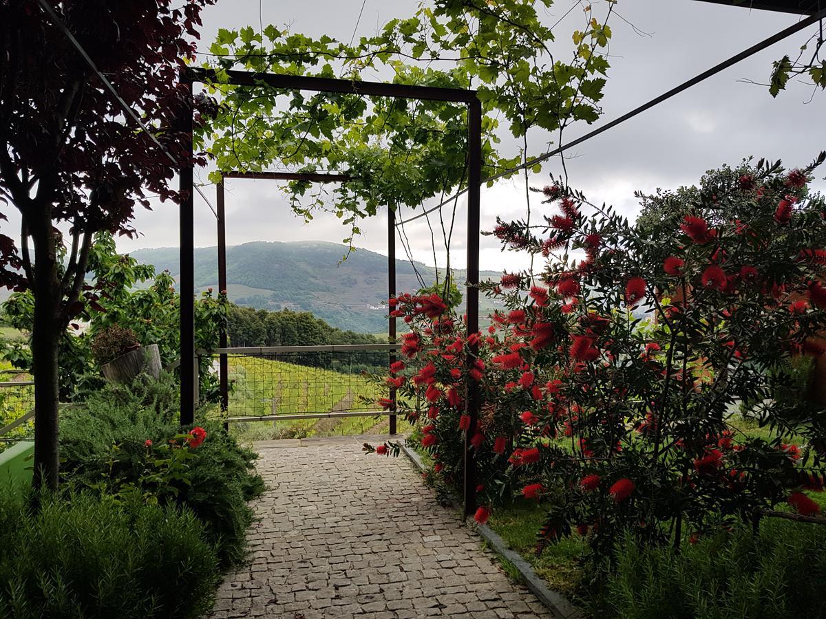 Marim Country Farm stay *