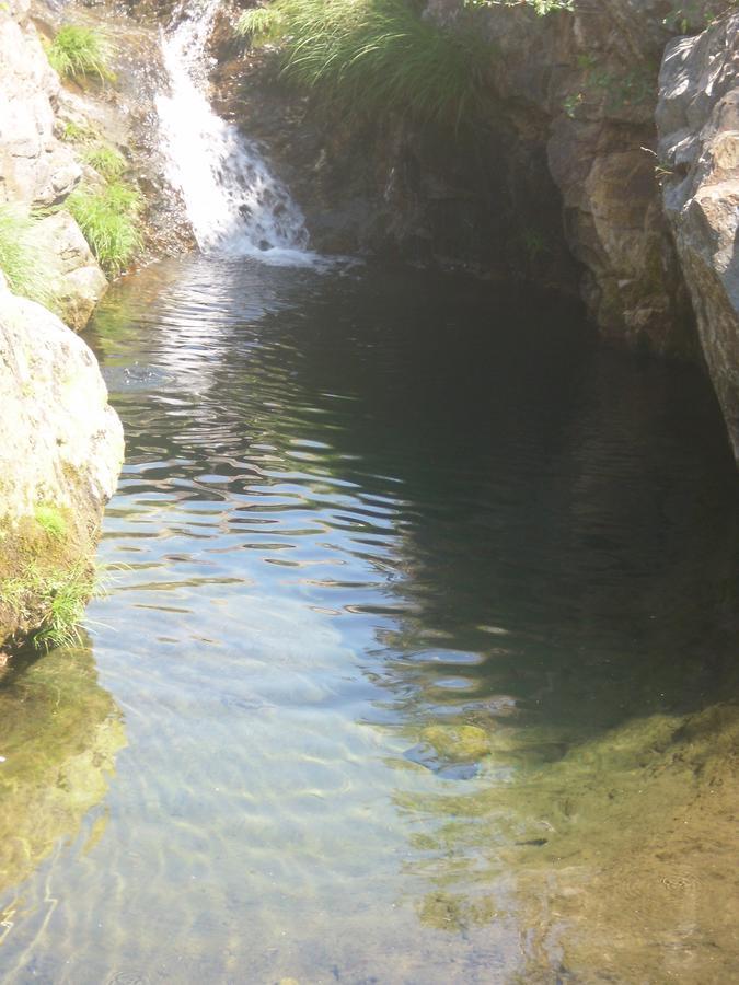 Pensao Estrela *