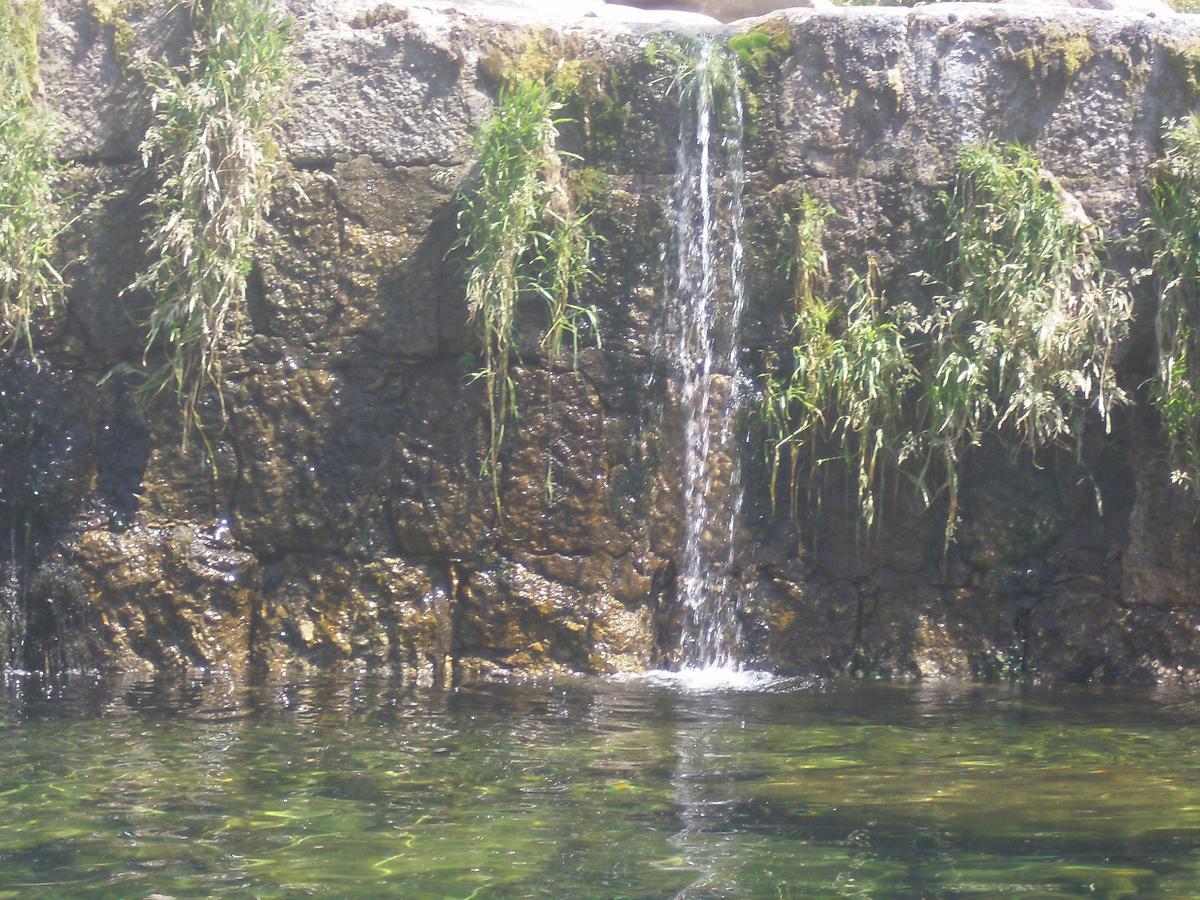 Pensao Estrela Unhais Da Serra