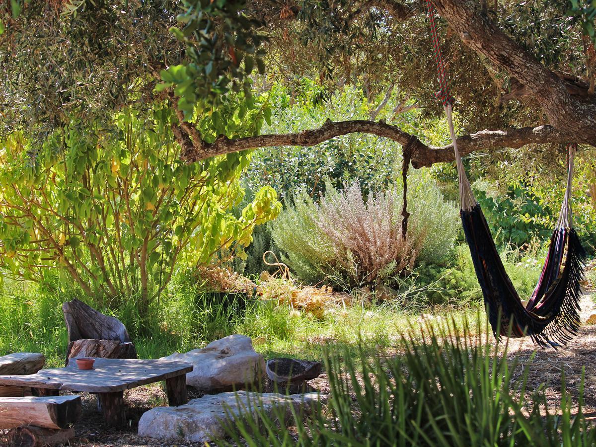 Estadia no rancho Casa Do Vale Da Lama Ecohotel & Retreat Centre In A Farm *