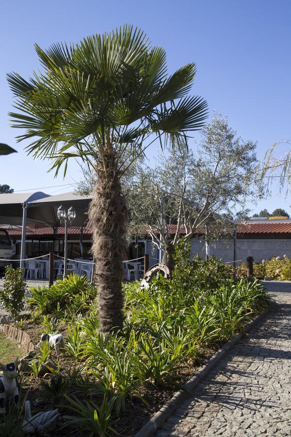 Quinta Da Fontinha Celorico De Basto