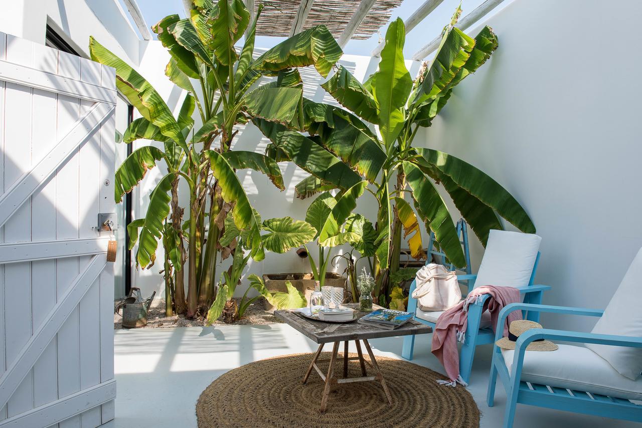 Country house Pensao Agricola *