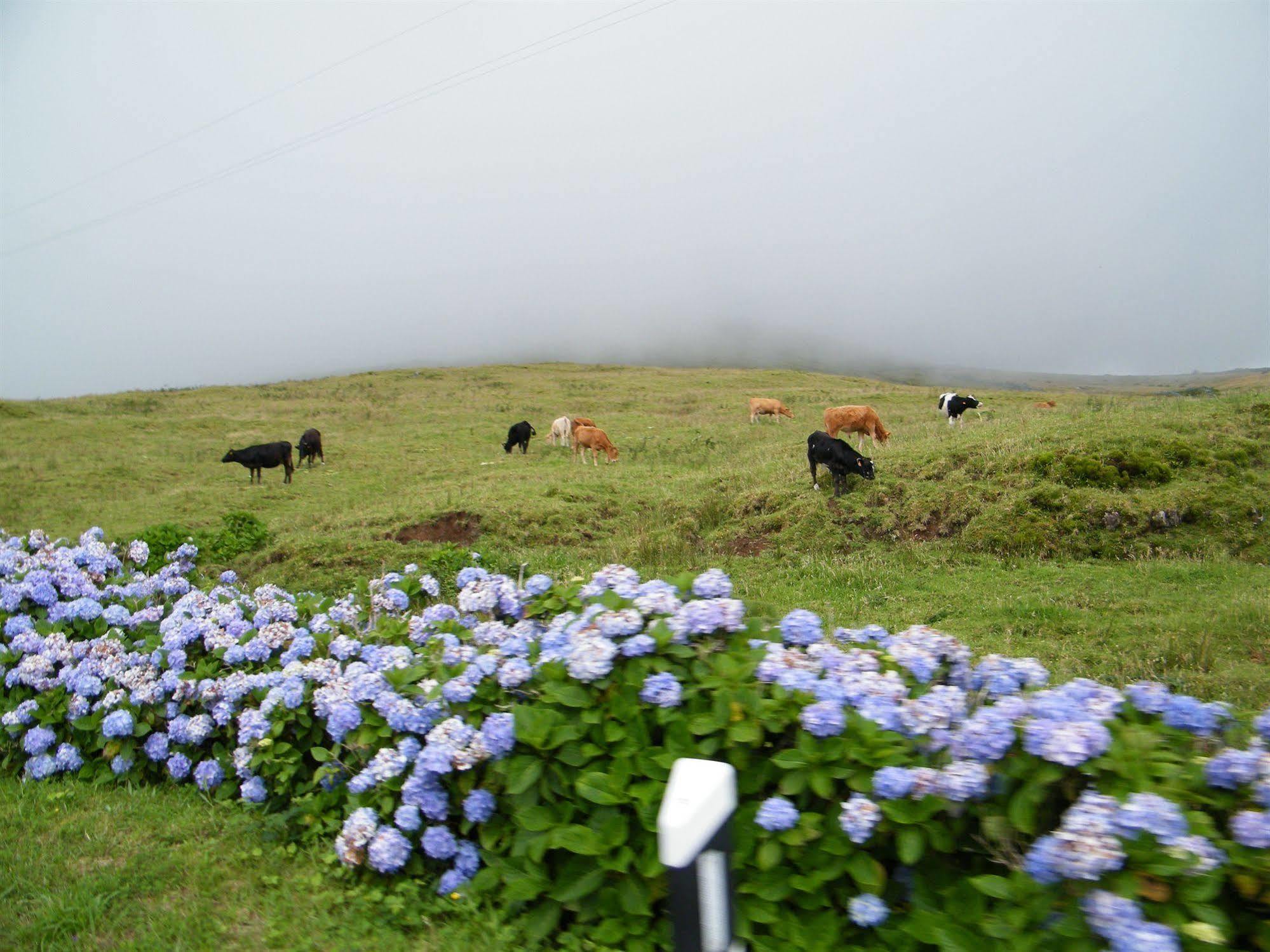 Inatel Flores Santa Cruz das Flores