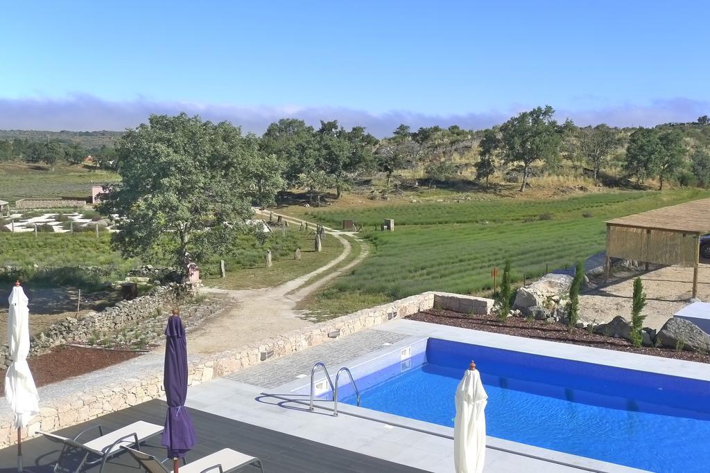 Quinta Lavandas