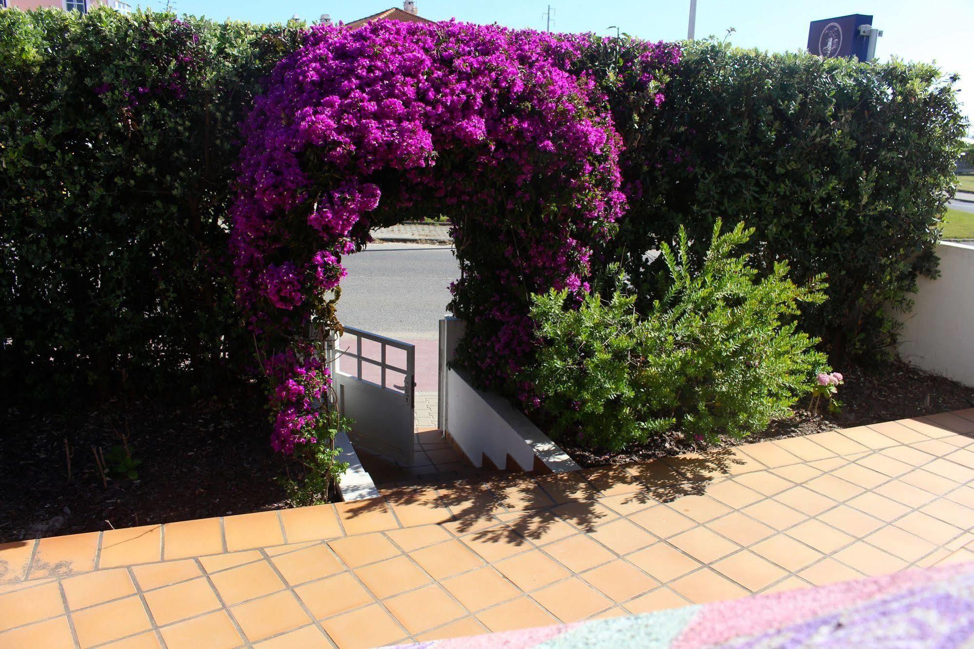 Hostel Captain's Log House Baleal