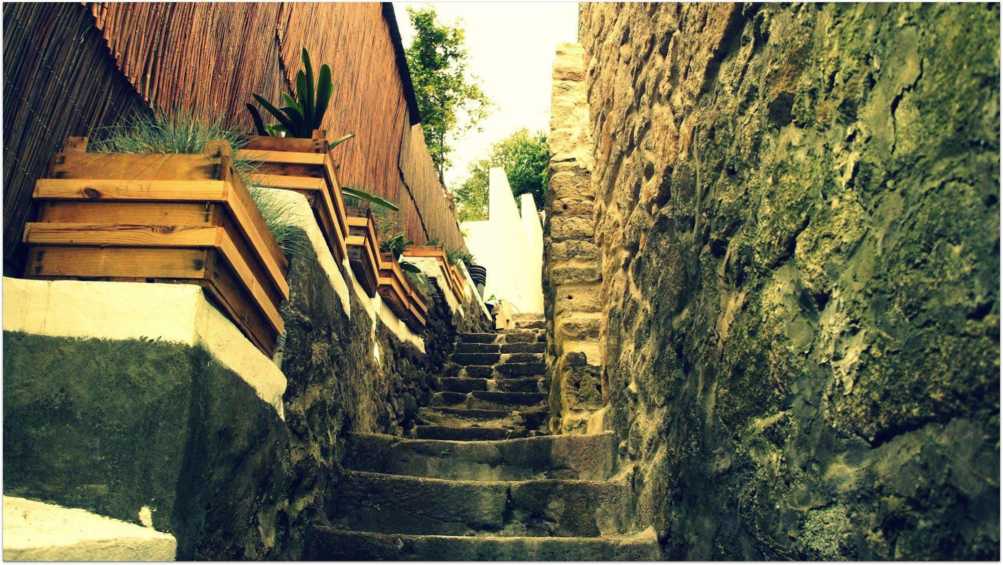 Albergue Gaia Porto Vila Nova de Gaia