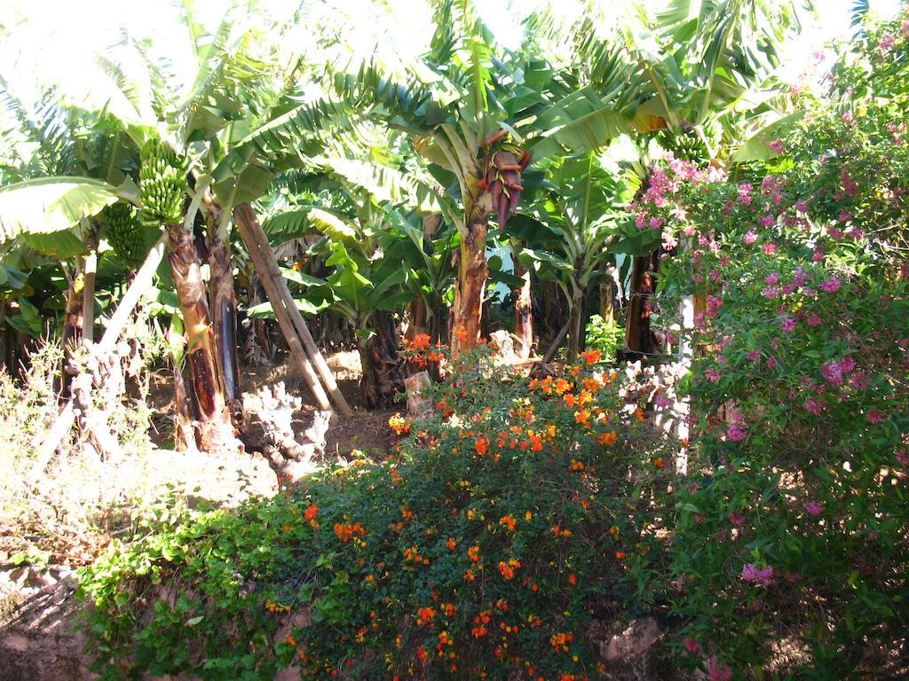 Villa Quinta Sao Goncalo