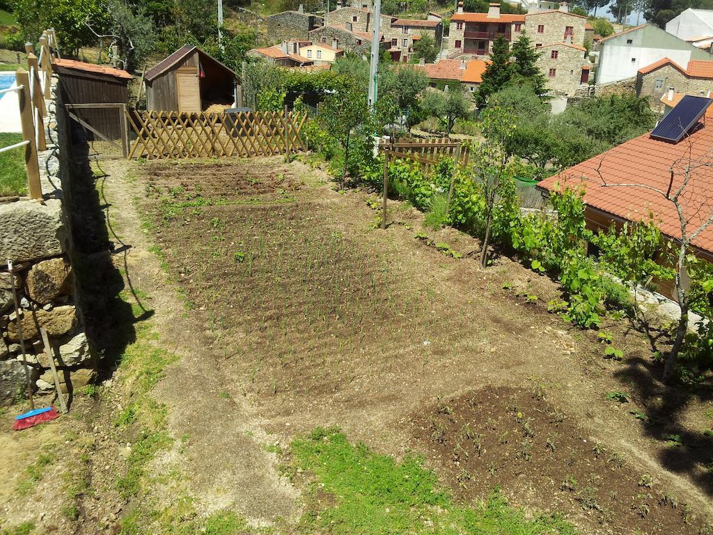 Casas Do Pastor
