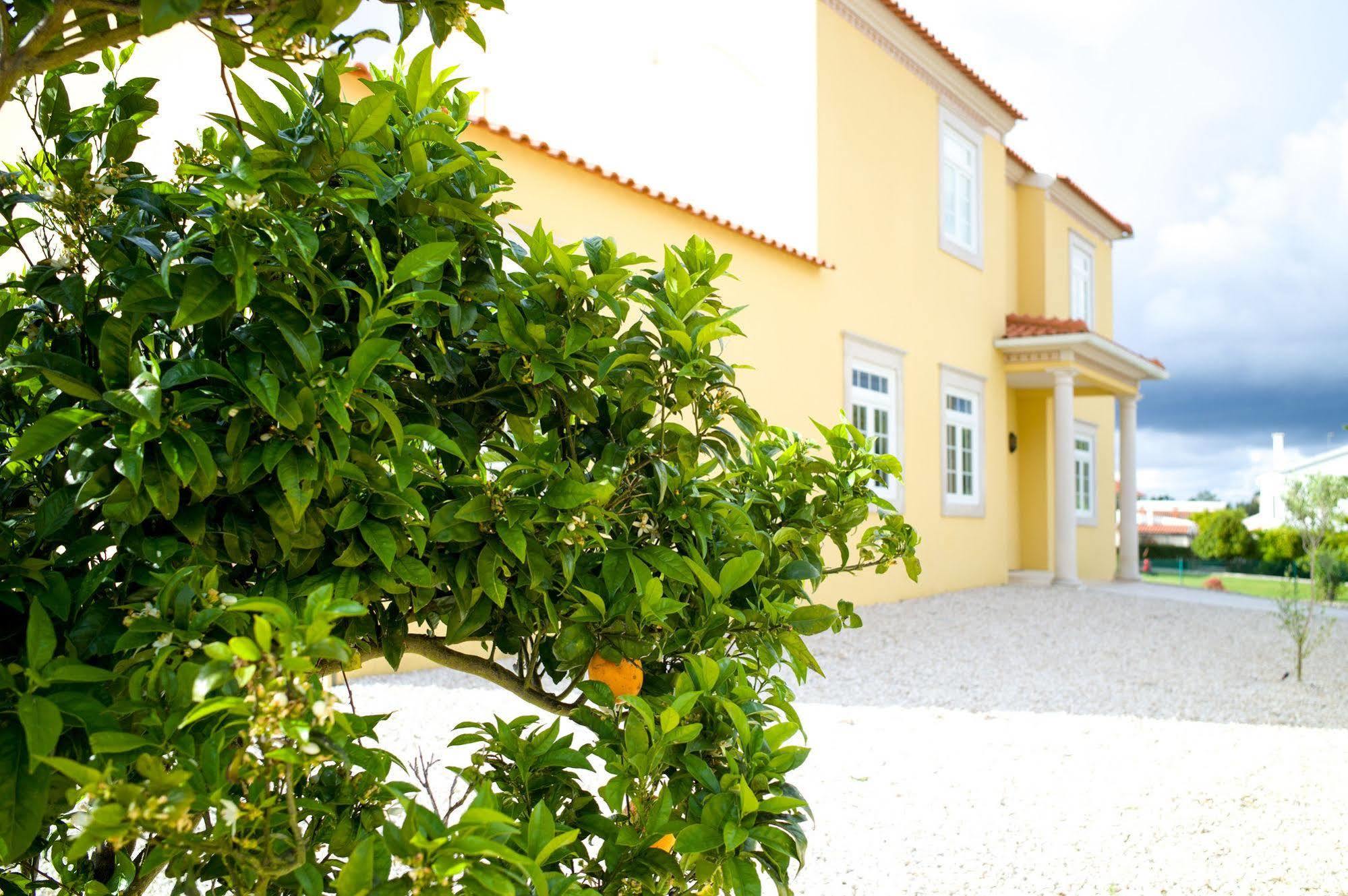 Bed & Breakfast Casa Pedra Nobre Nadadouro