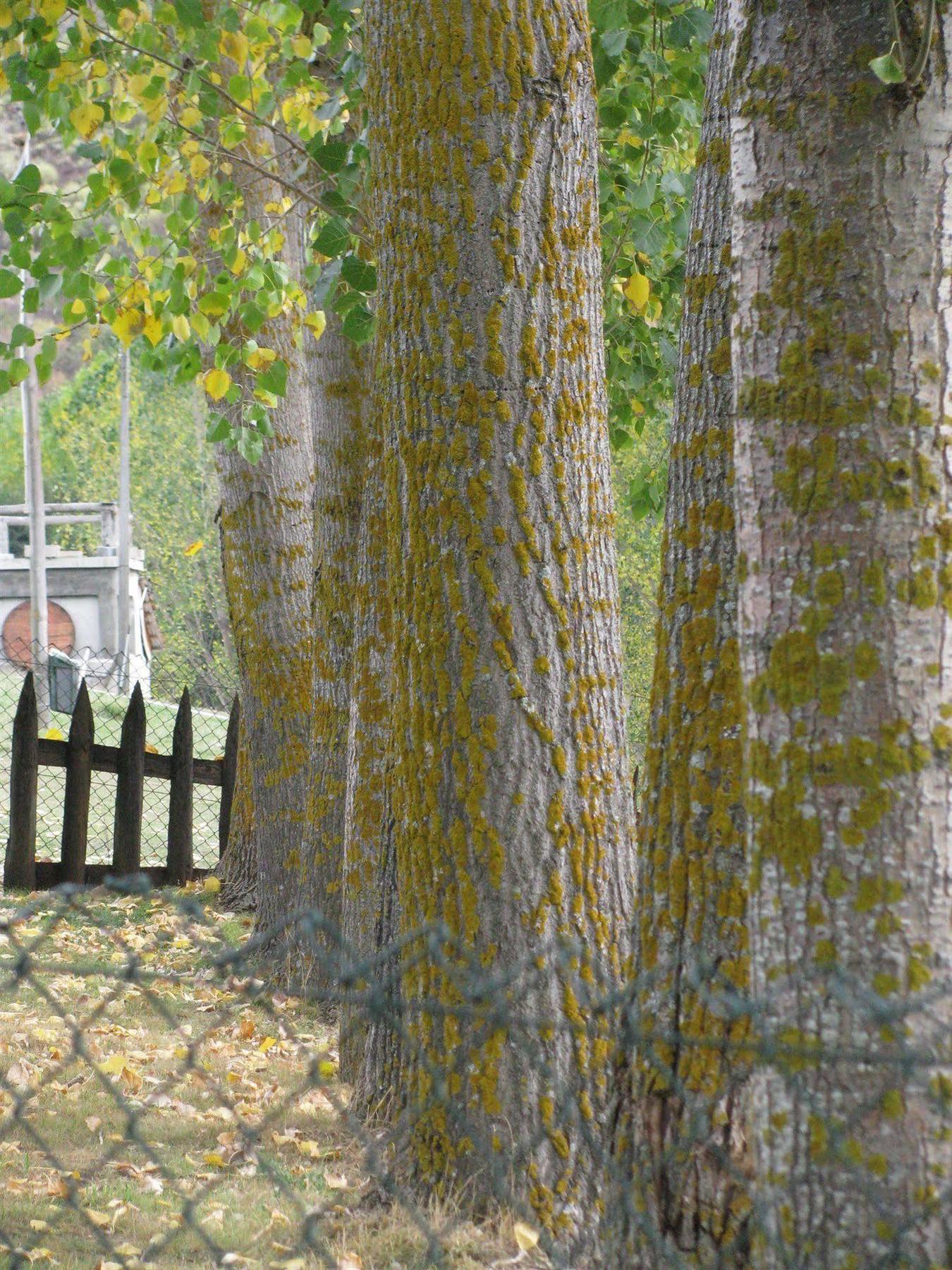Farm stay A. Montesinho Turismo *