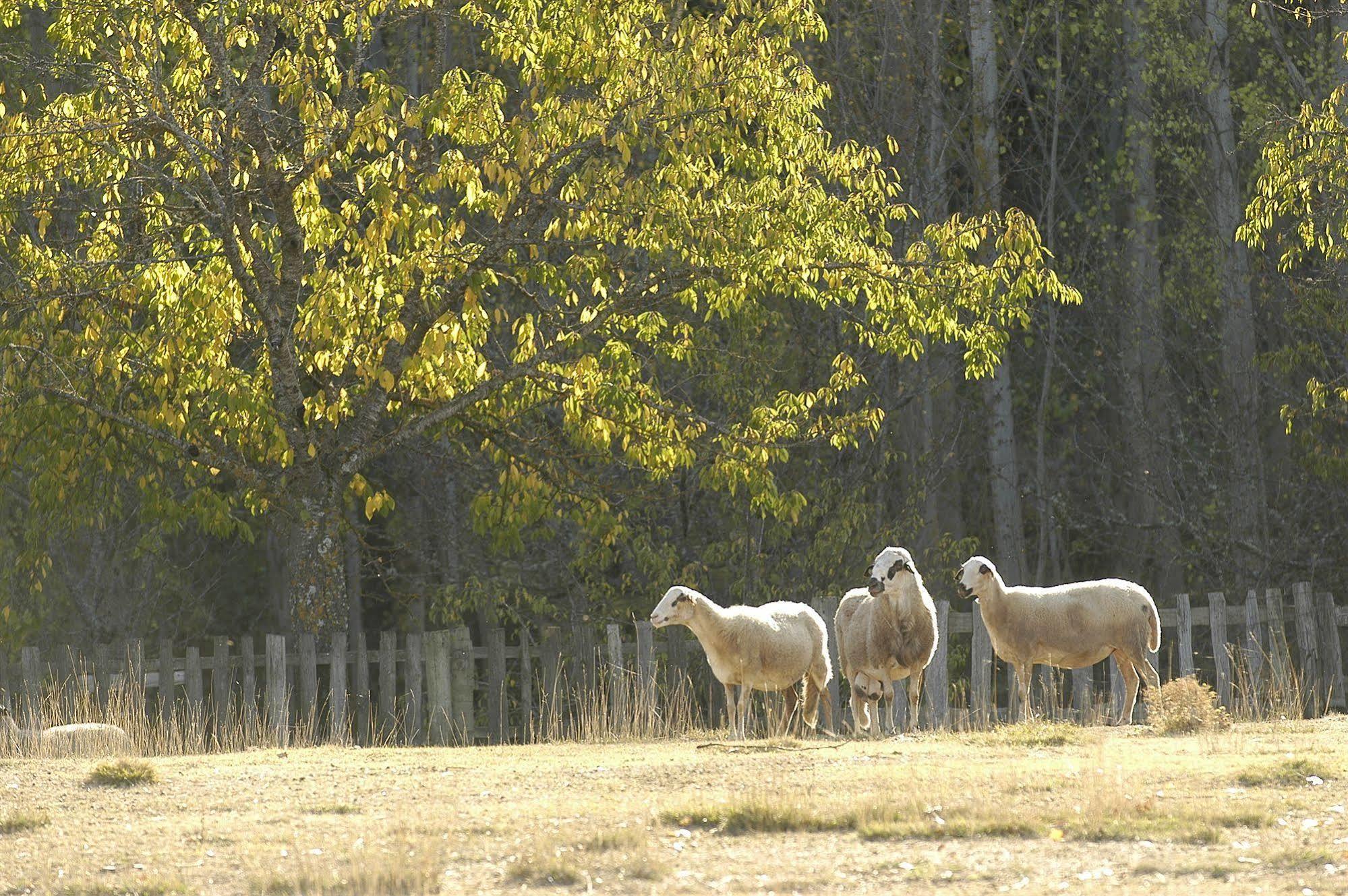 Farm stay A. Montesinho Turismo Braganca