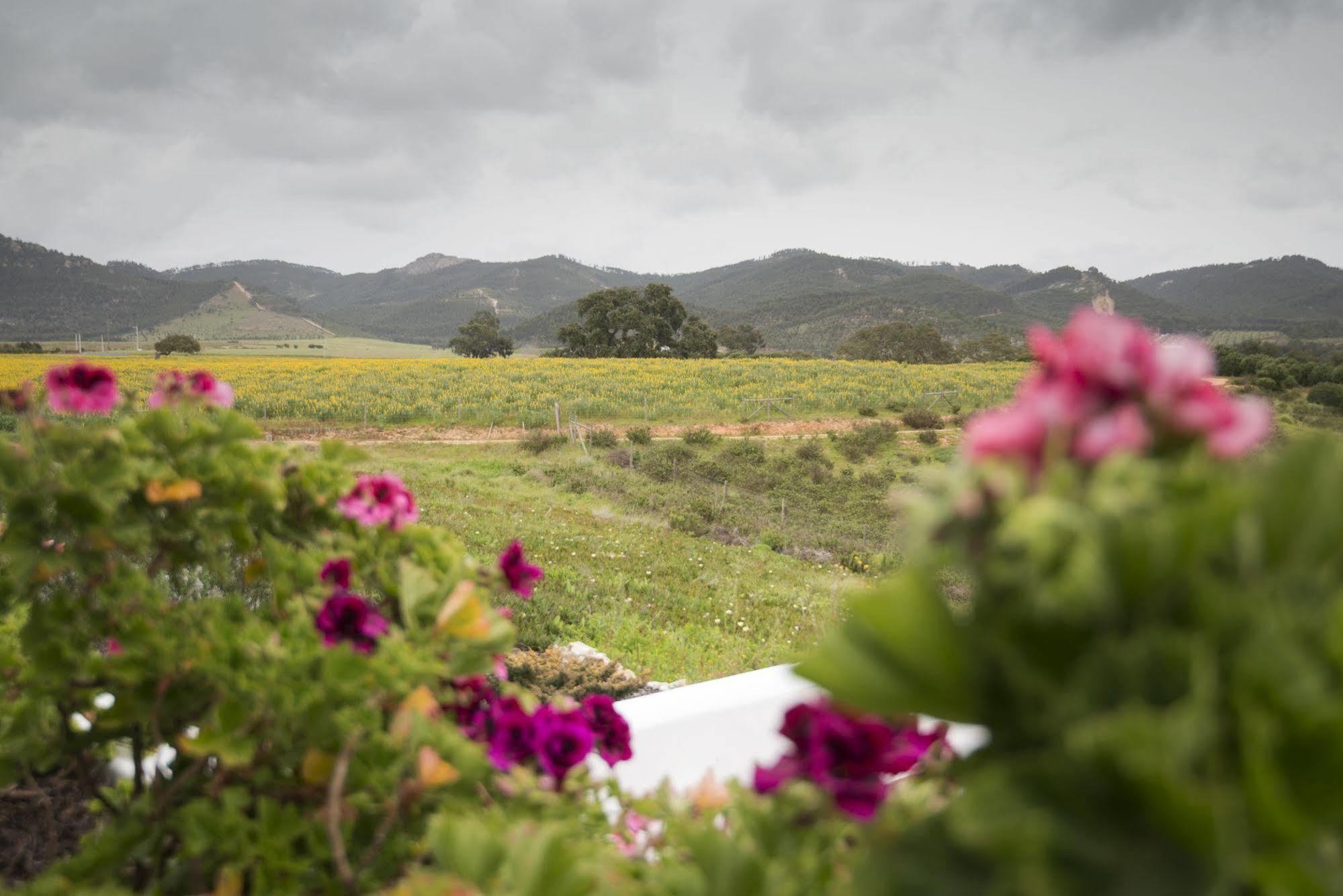Farm stay Herdade Do Amarelo Nature & Vila Nova de Milfontes