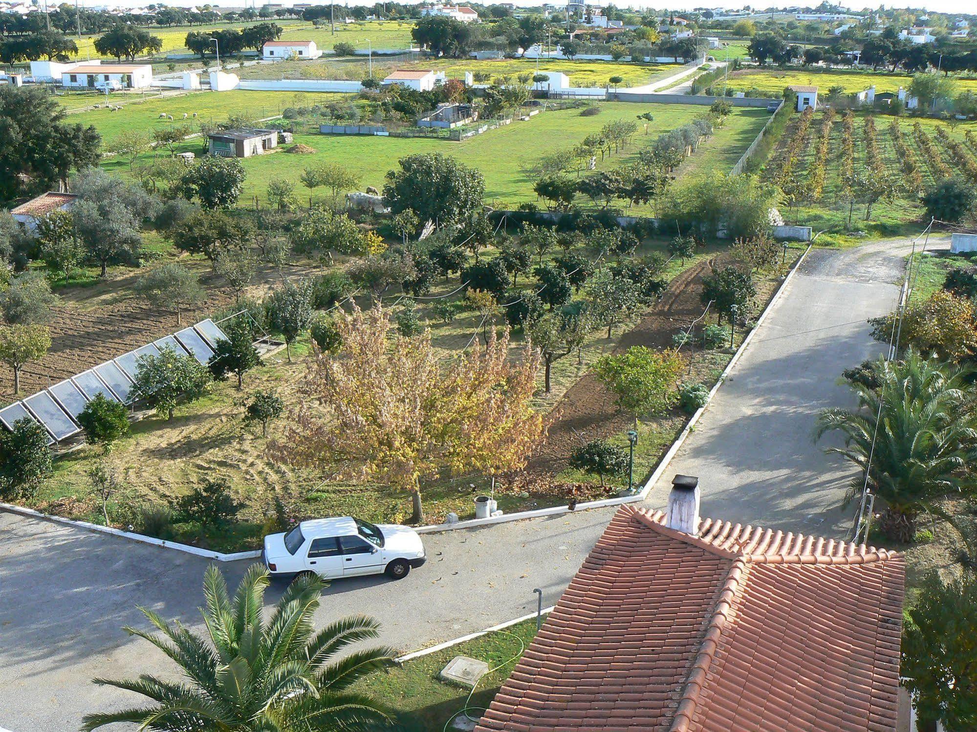 Graca Evora