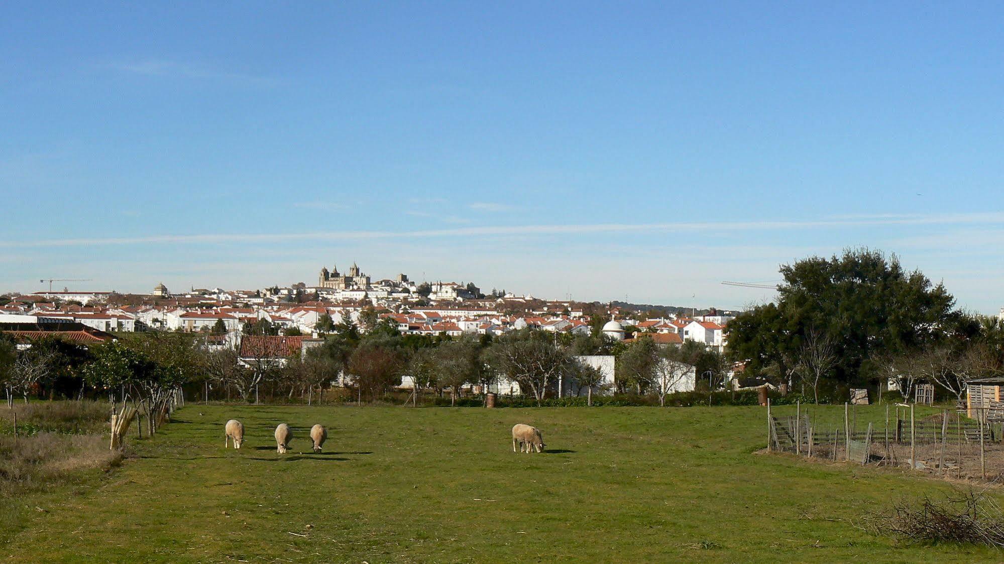 Hotel Graca 3*
