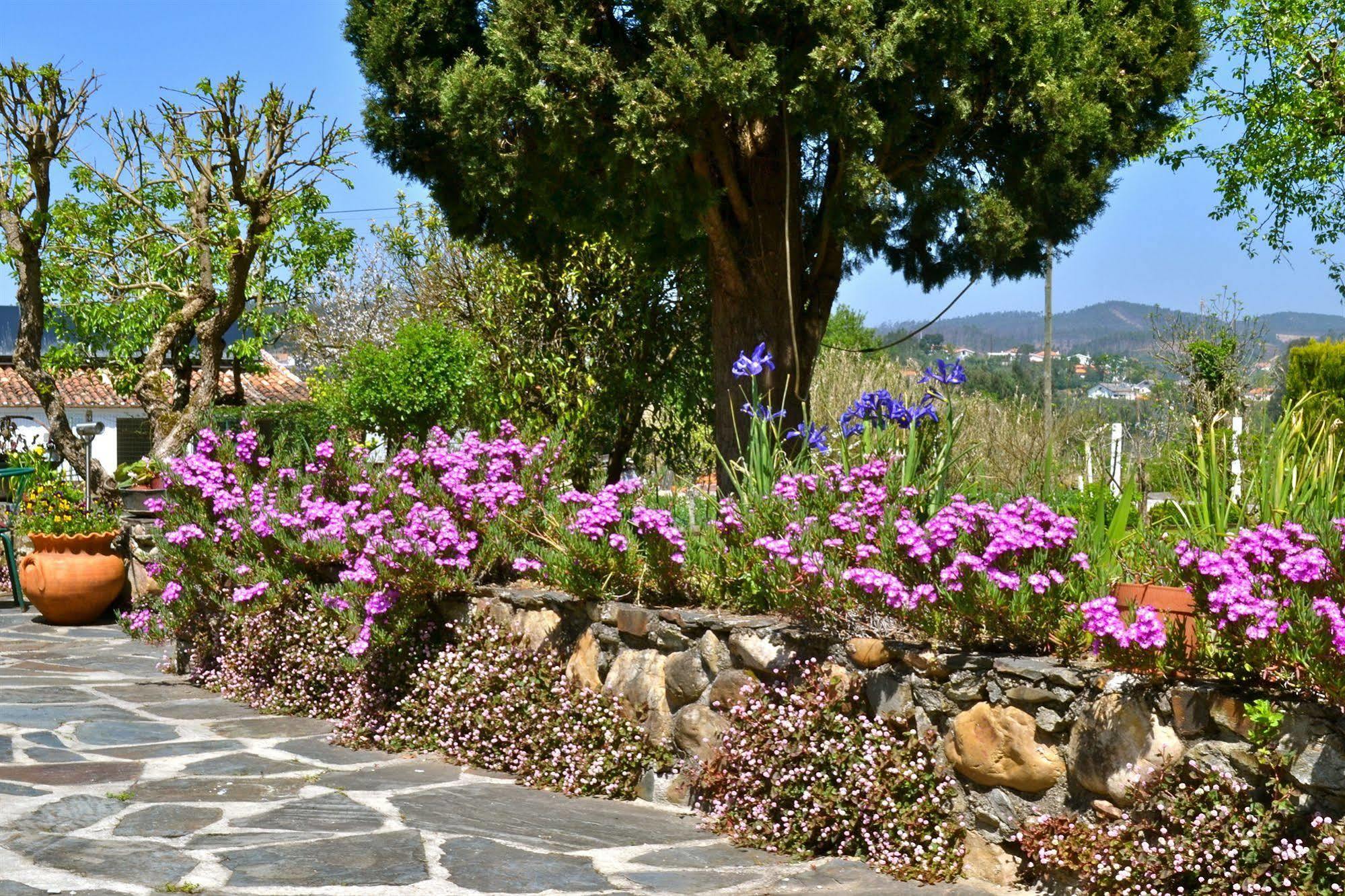 Quintal De Alem Do Ribeiro-turismo Rural Lousã