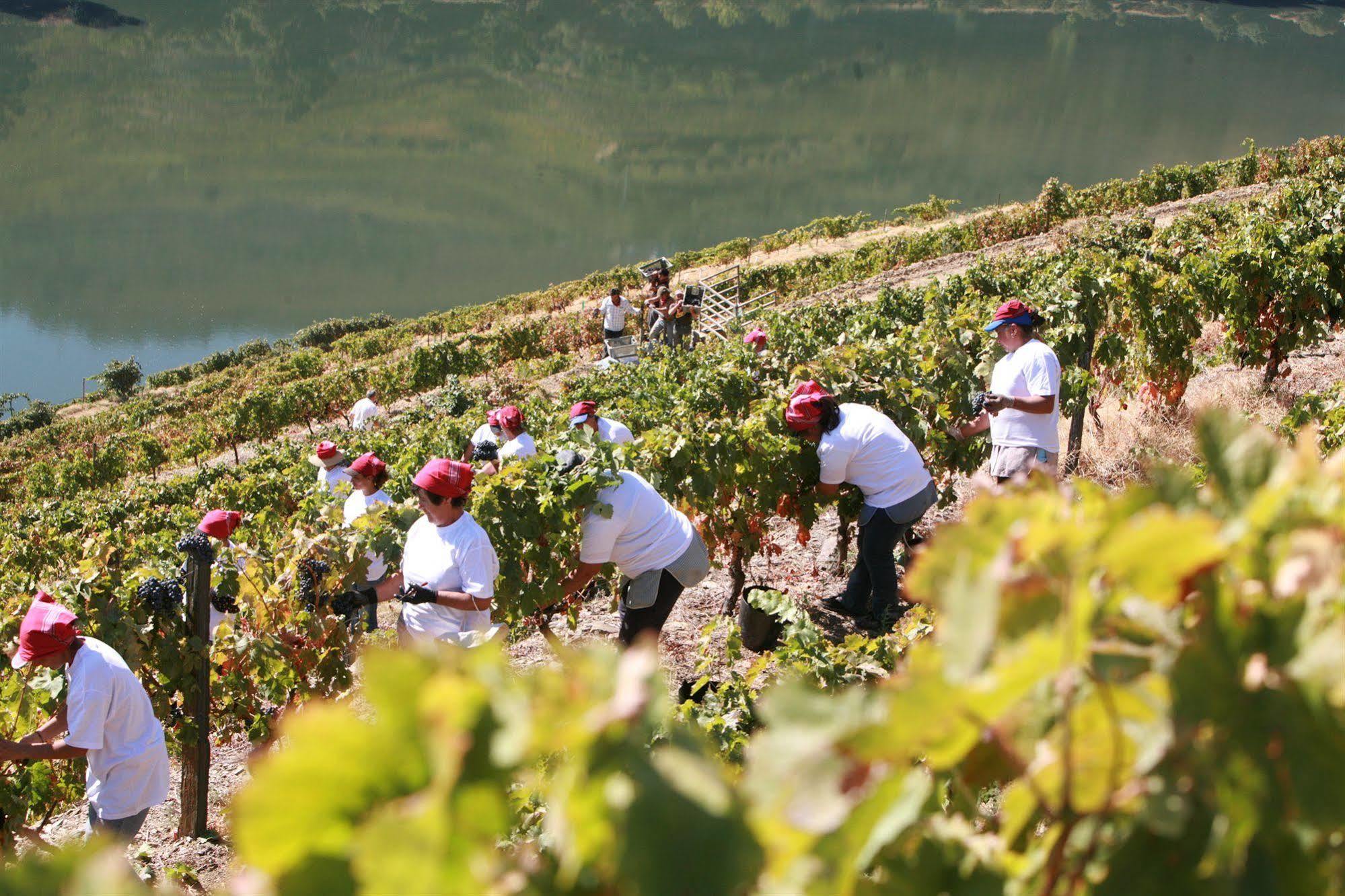 Quinta Nova Winery House - Relais & Chateaux Hotel 5*