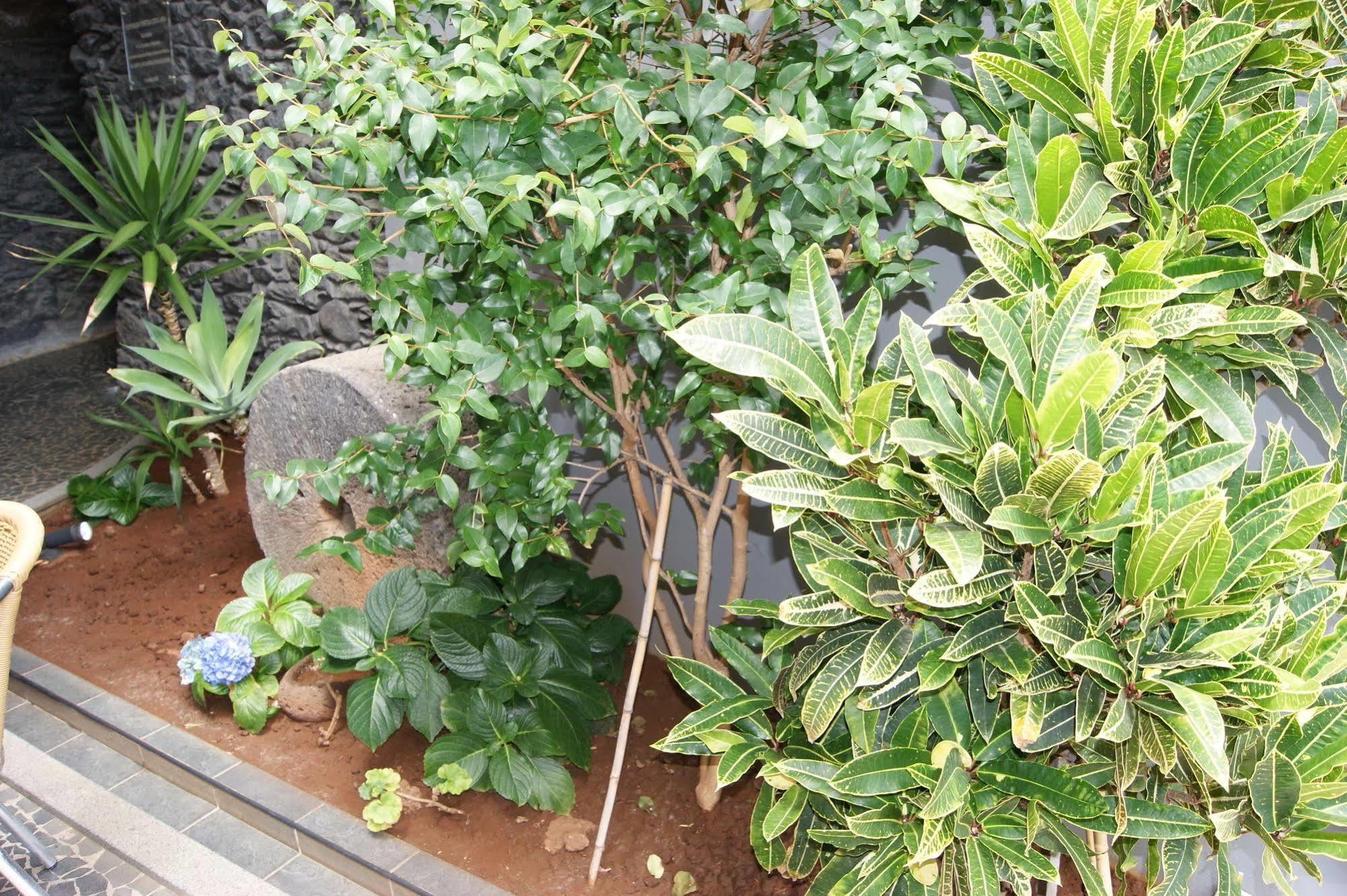 Costa Linda