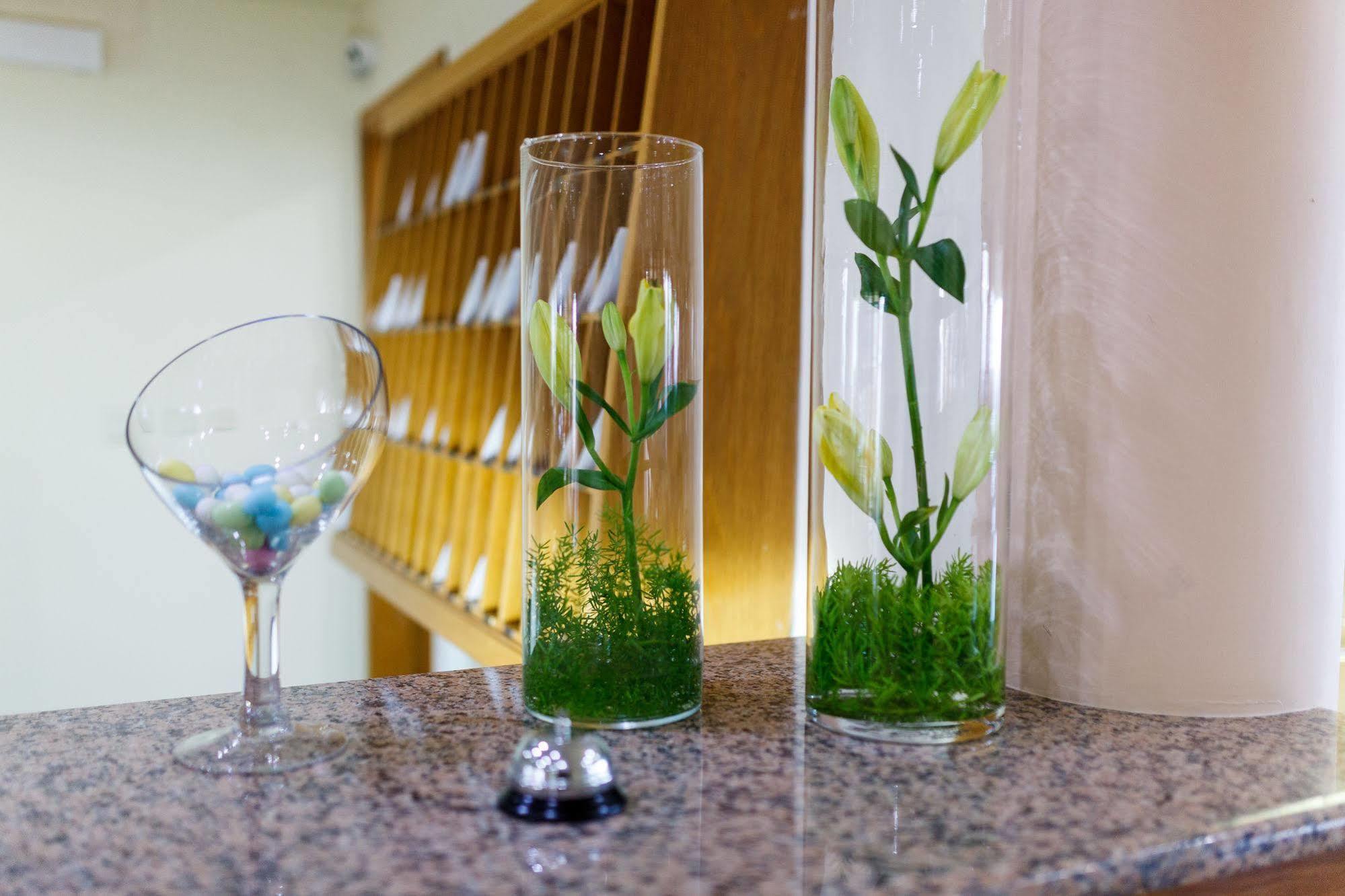 Sao Jorge Garden 3* Velas