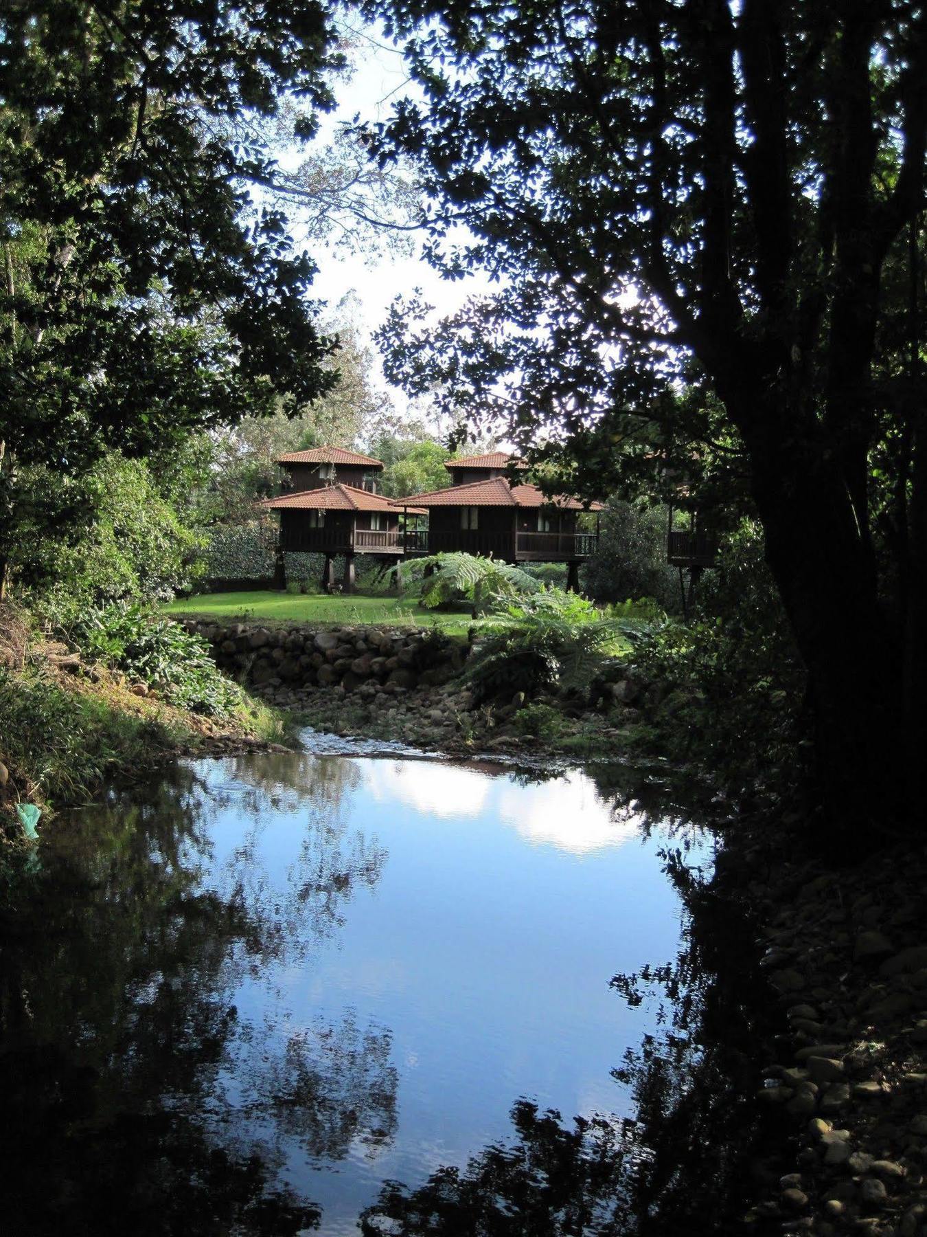Holiday park Quinta Eiras