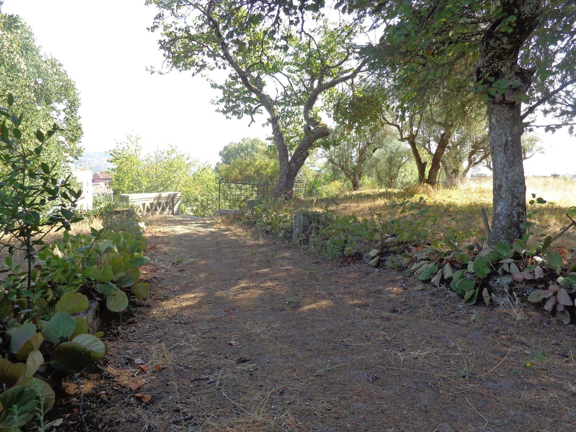 Rural Mira Serra 3*
