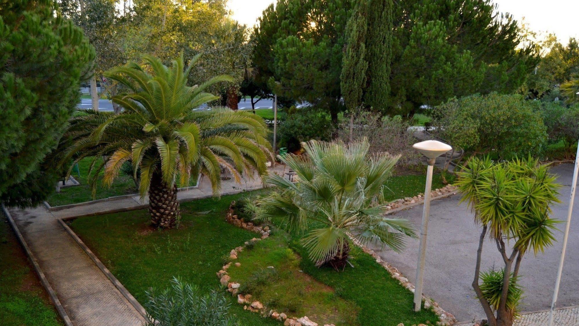 Parque Amendoeiras