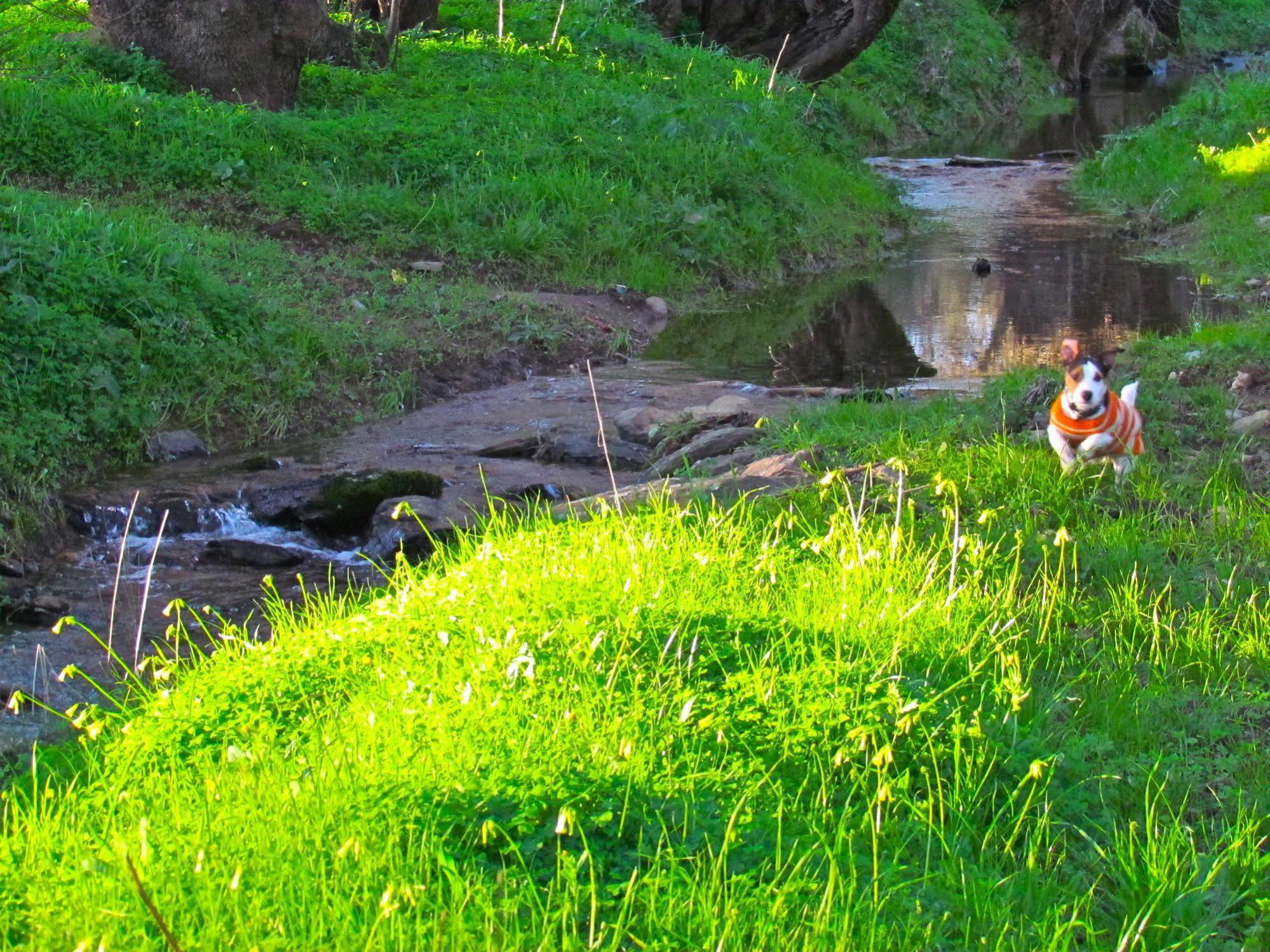 Herdade Agua D'alte Redondo