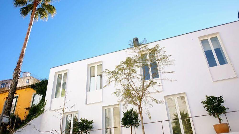 The Late Birds - Gay Urban Guest house Lisbon