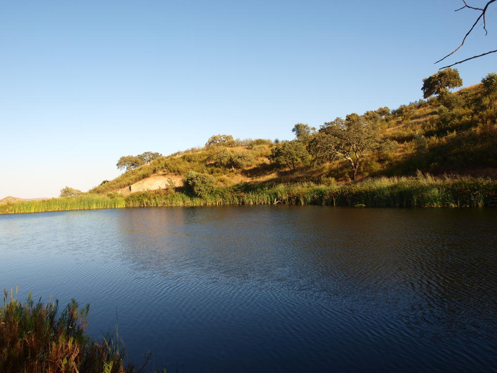 Herdade Dos Montes Bastos Vakantieboerderij *
