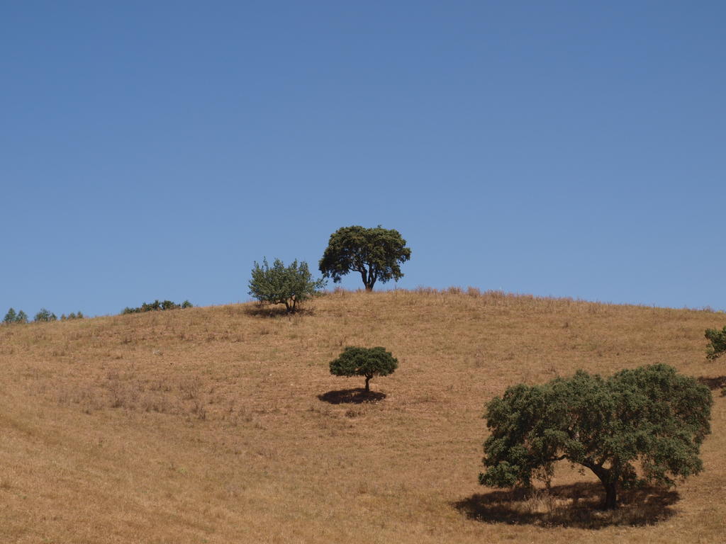 Herdade Dos Montes Bastos *
