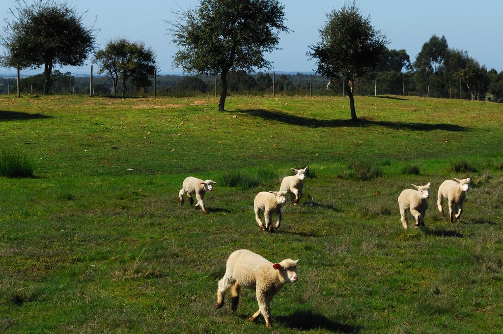 Monte Da Galrixa *