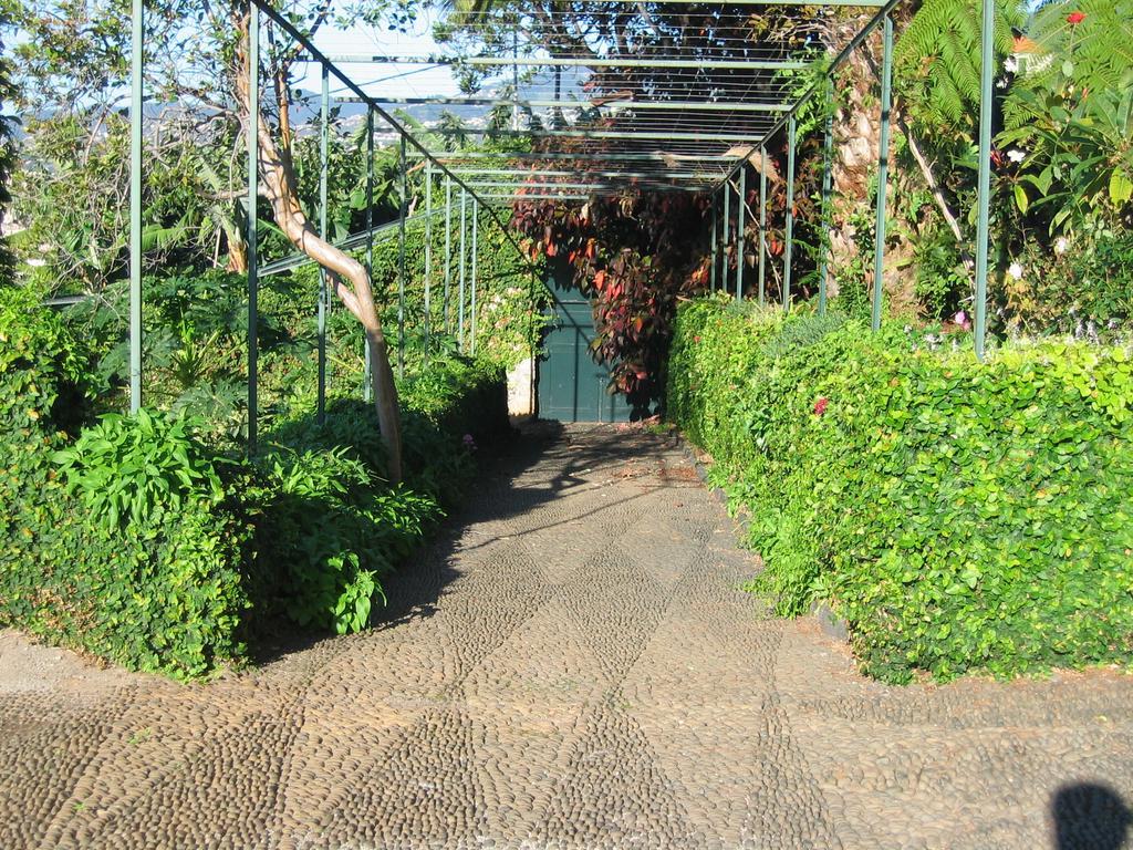 Quinta Sao Goncalo Villa