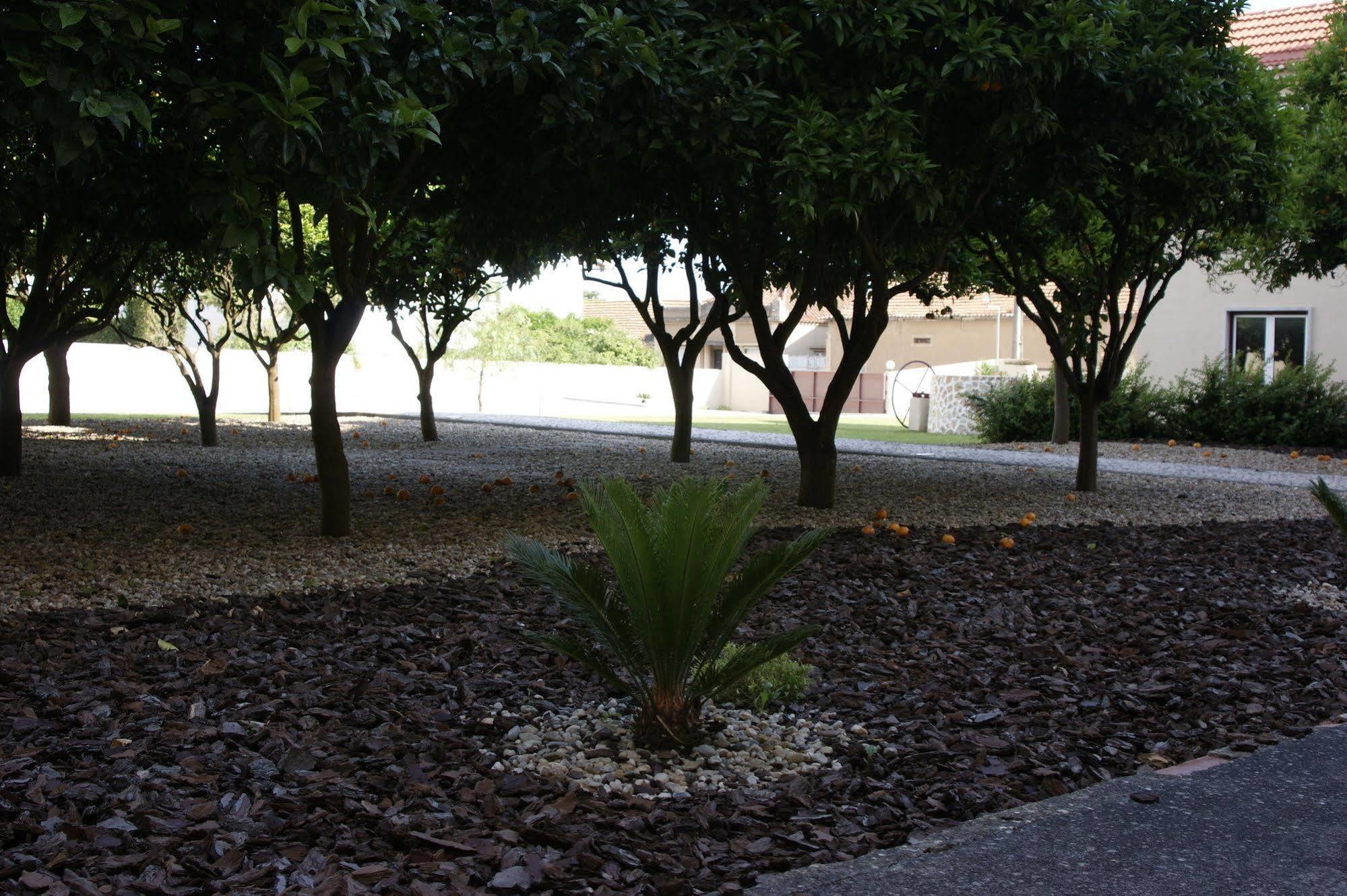 Hotel Comendador Bombarral