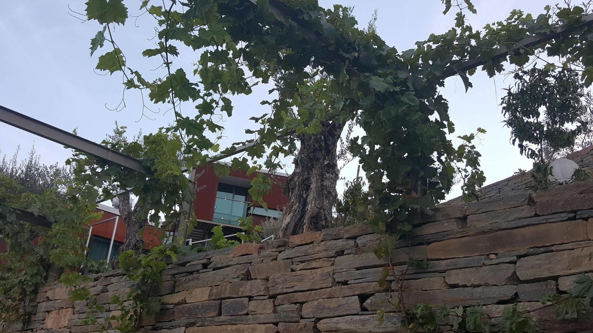 Marim Country Farm stay Mesao Frio