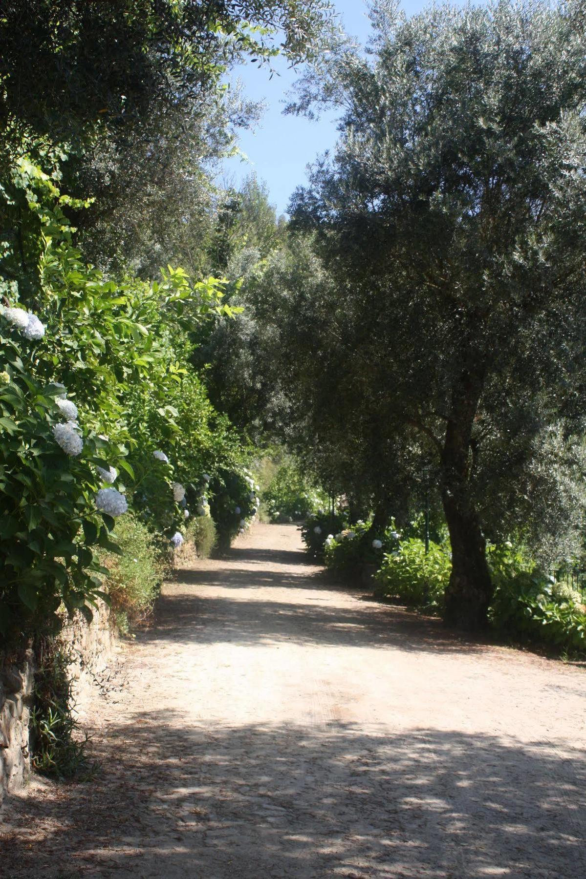 Quinta Escomoeiras * Celorico De Basto