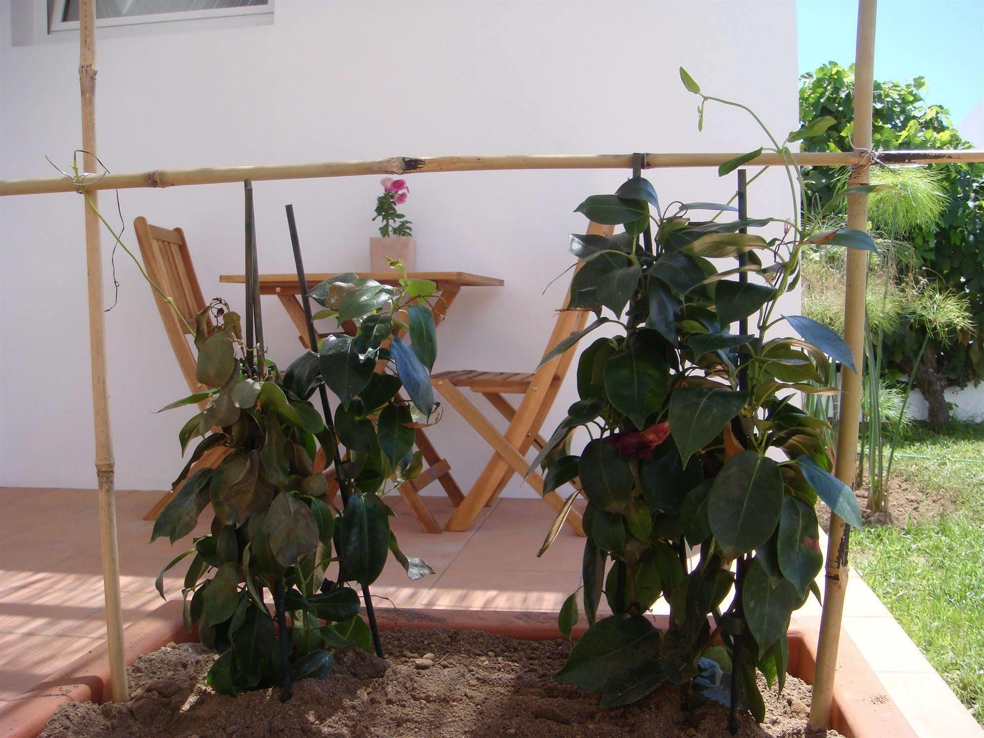 Guest house Casa Da Ilha - Slow Living & Ponta Delgada (Sao Miguel)