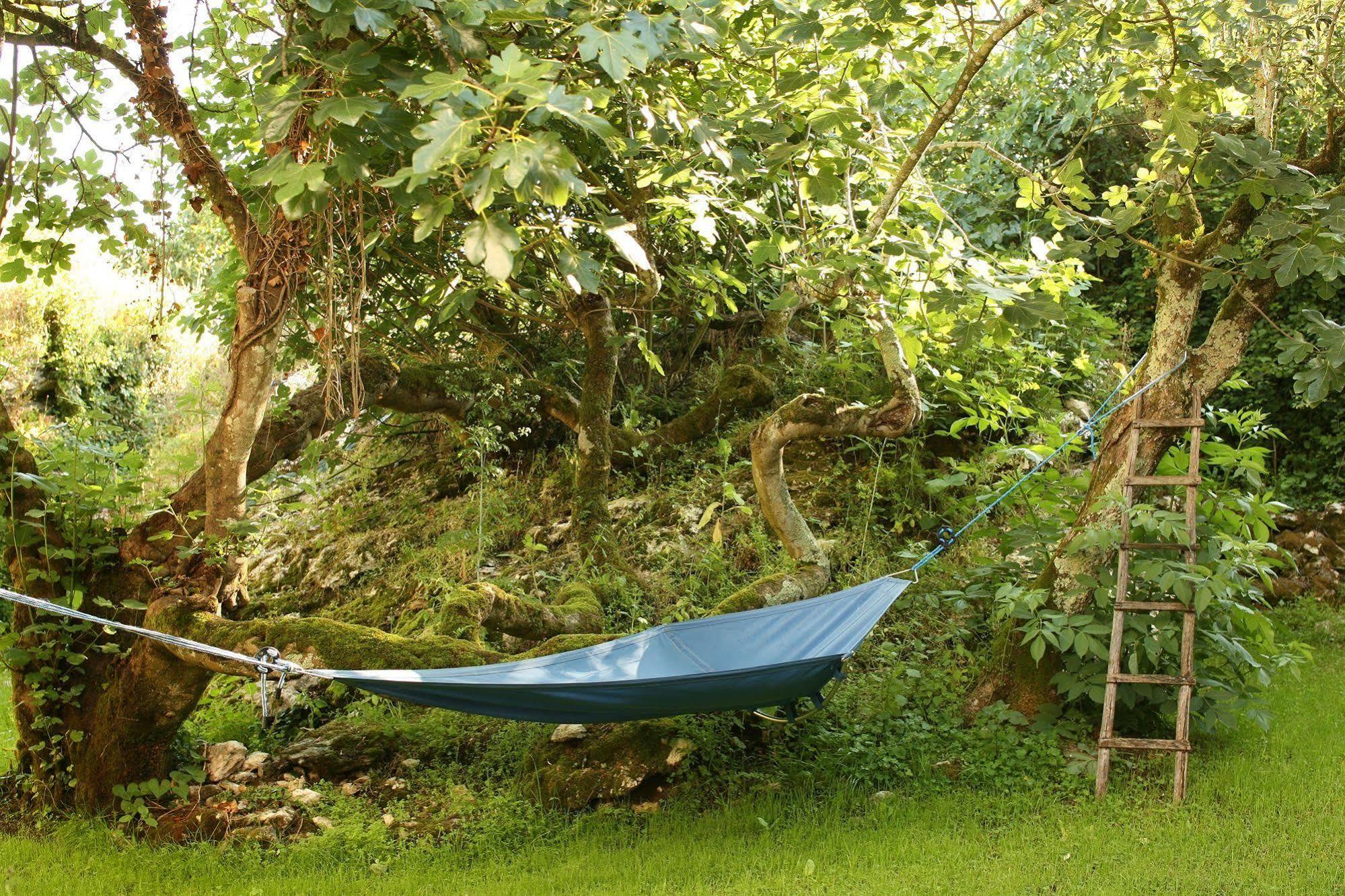 The Nest By Cooking And Nature