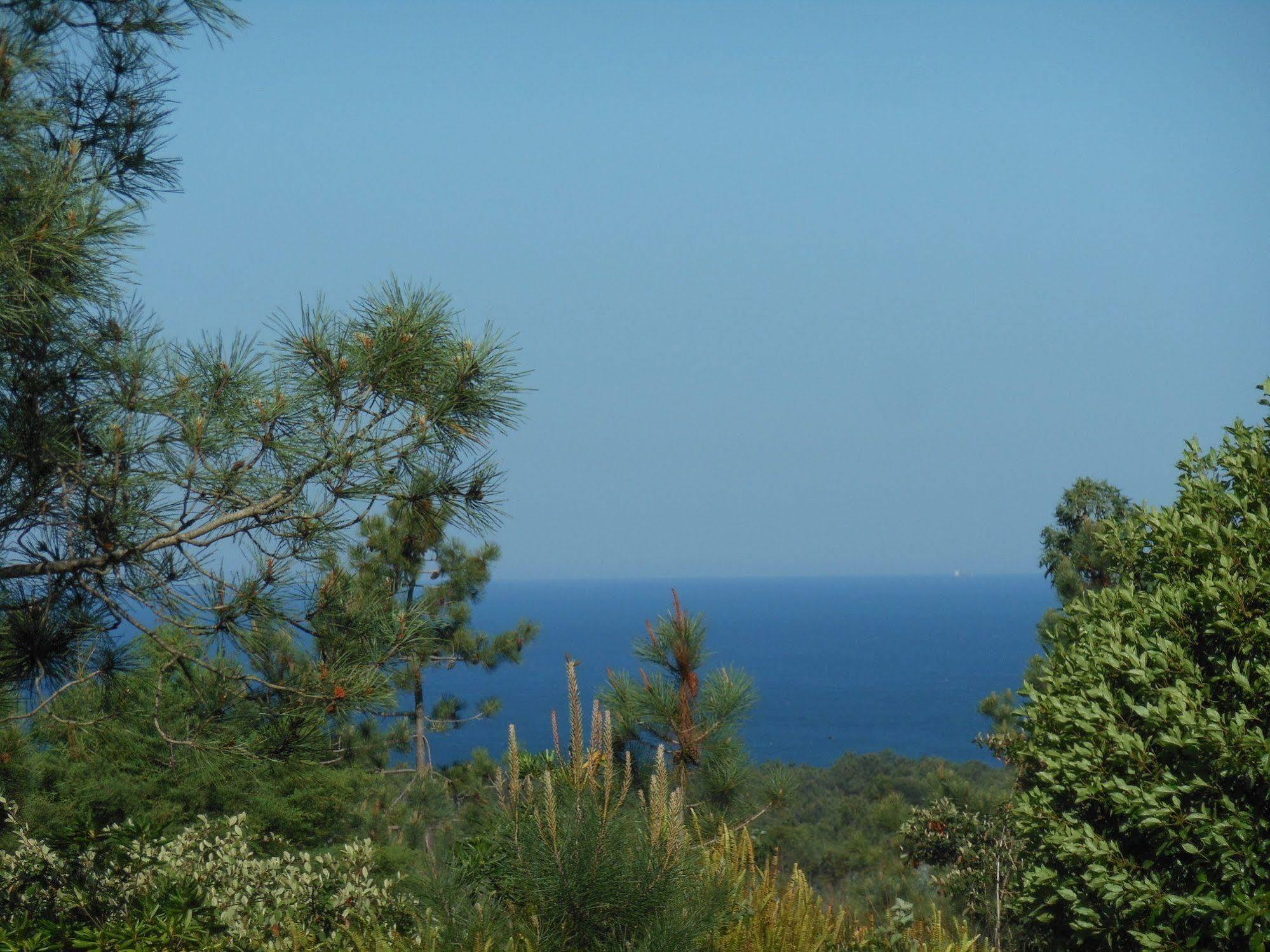 Guest house Casal Do Frade Sesimbra