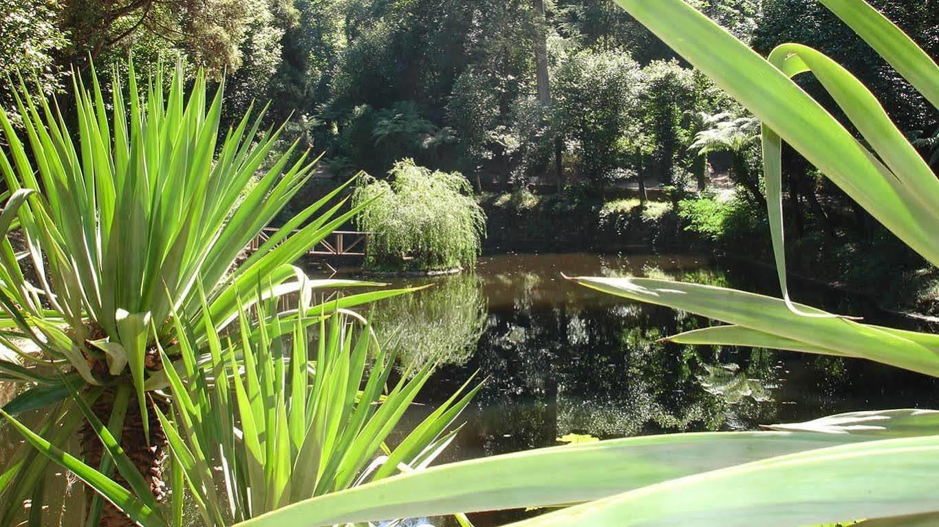 Hotel Alegre - Bussaco Boutique Luso (Mealhada)