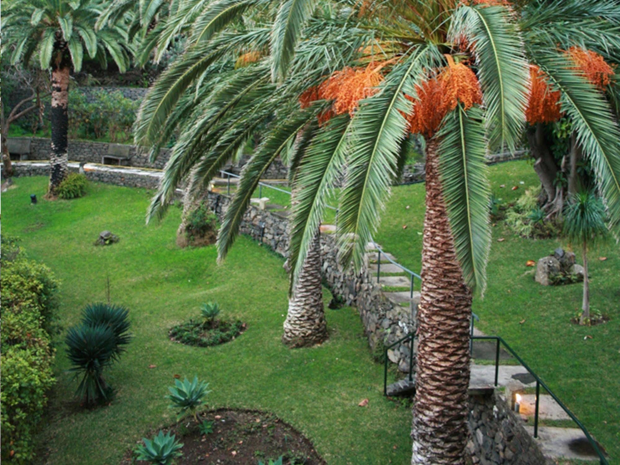 Dom Pedro Madeira
