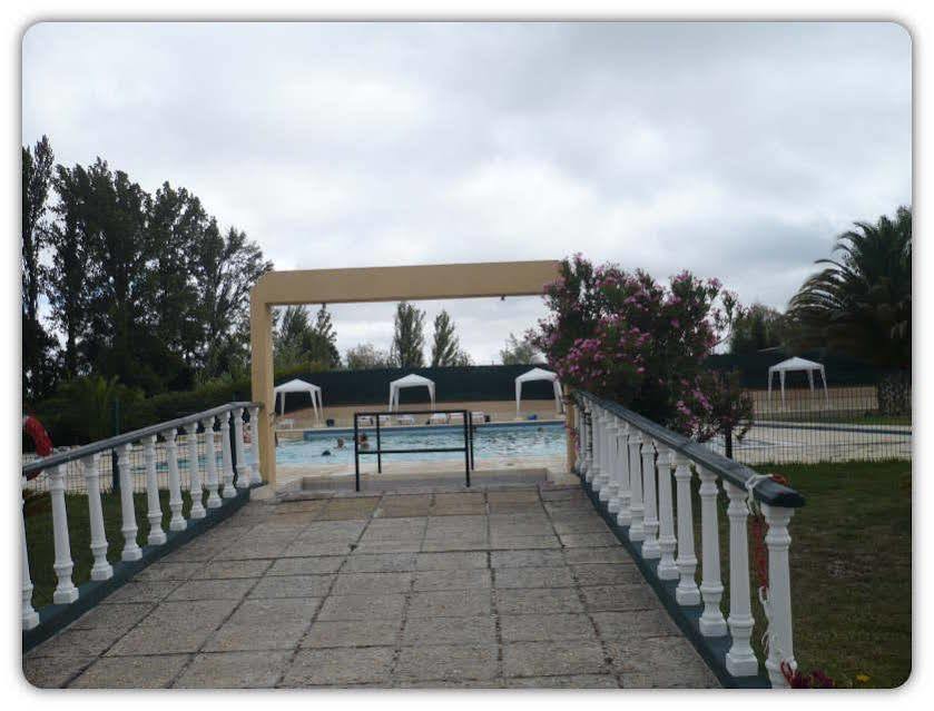 Clube Curia